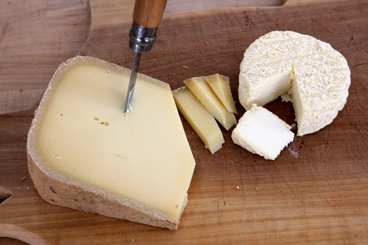 cheese