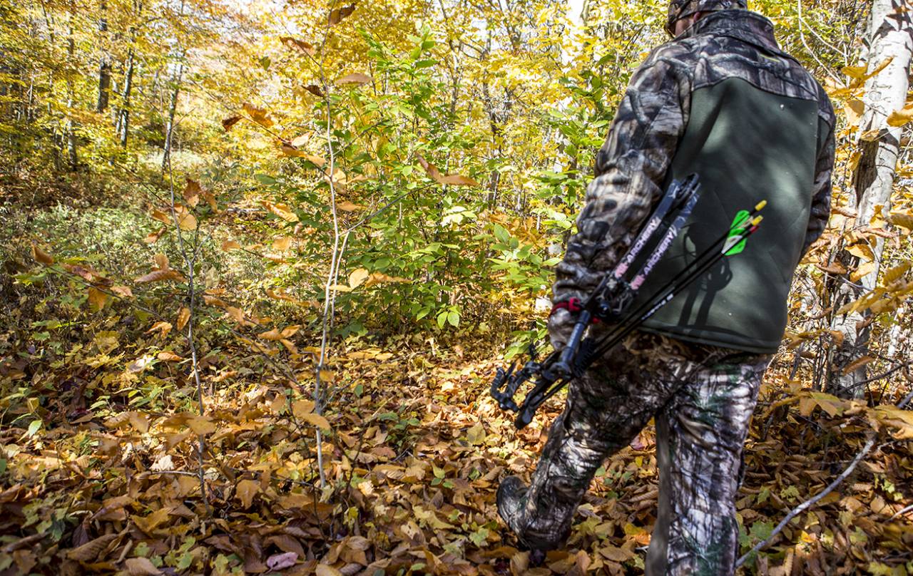 A hunter walking through a forest.