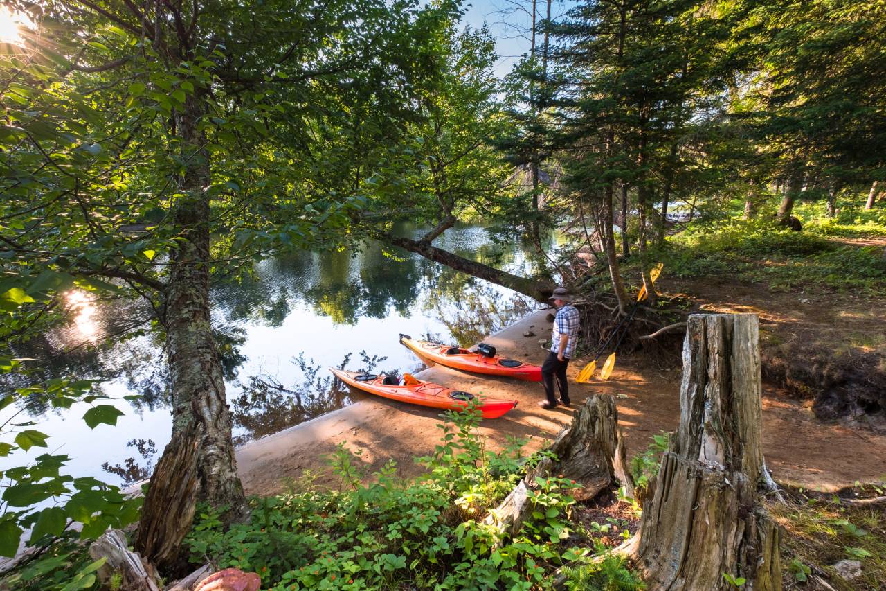 kayaks