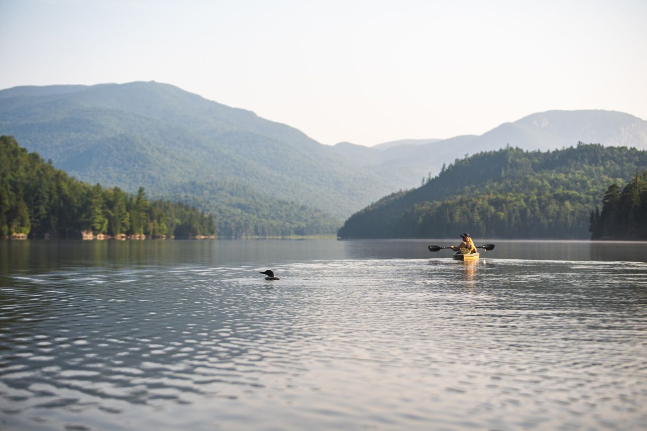 paddler with loon
