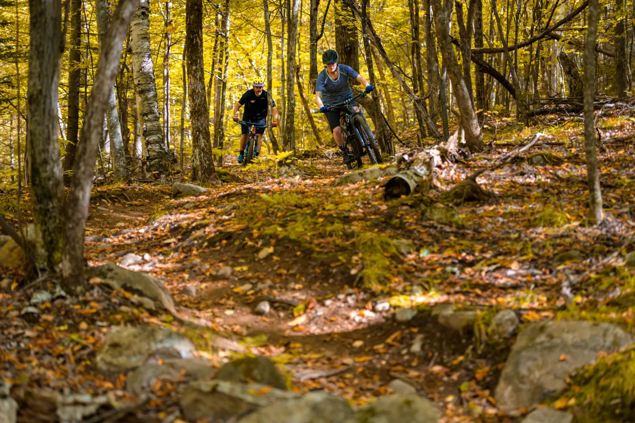 A man and woman ride bikes on a winding trail covered in leaves.