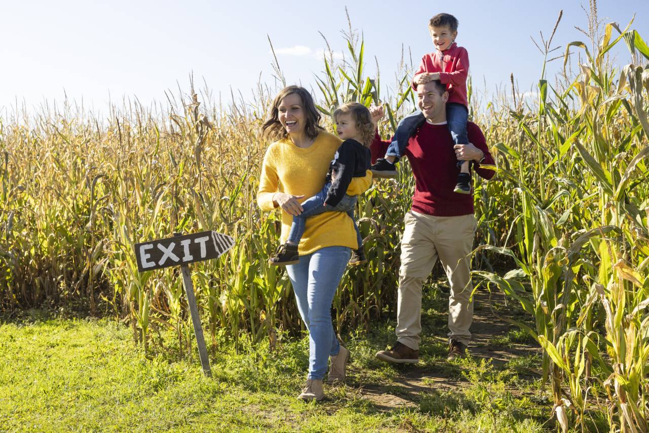 A man and woman carry their two young children out of a corn maze.
