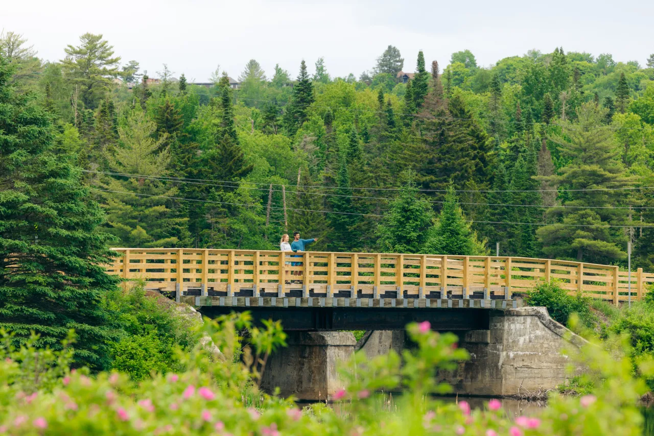 The Rail Trail in the summer.