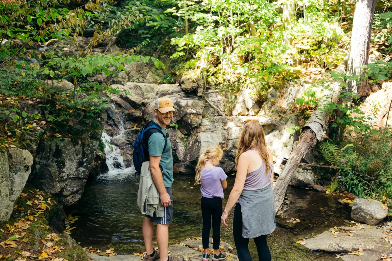 Father looks back over his shoulder as mother and daughter look at small waterfall from high angle viewpoint in forest