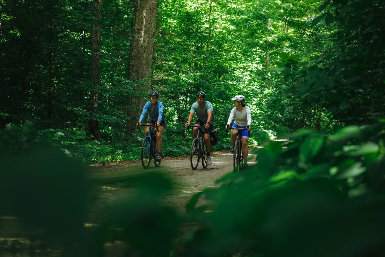 A group biking on a trail.