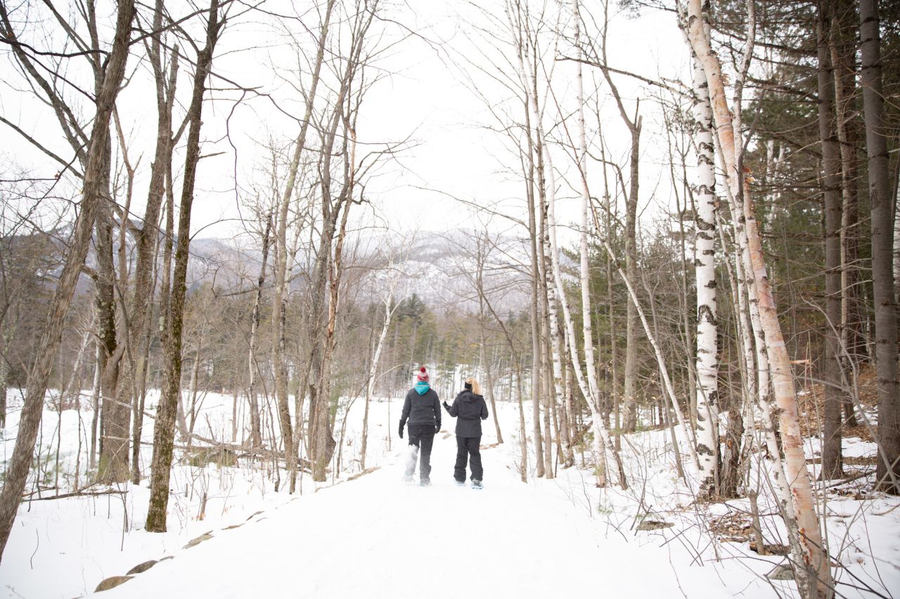 Winter hike in the birches