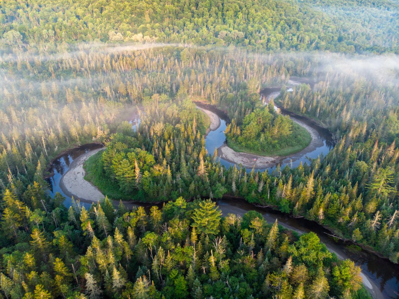 A river that winds and bends in the woods. 