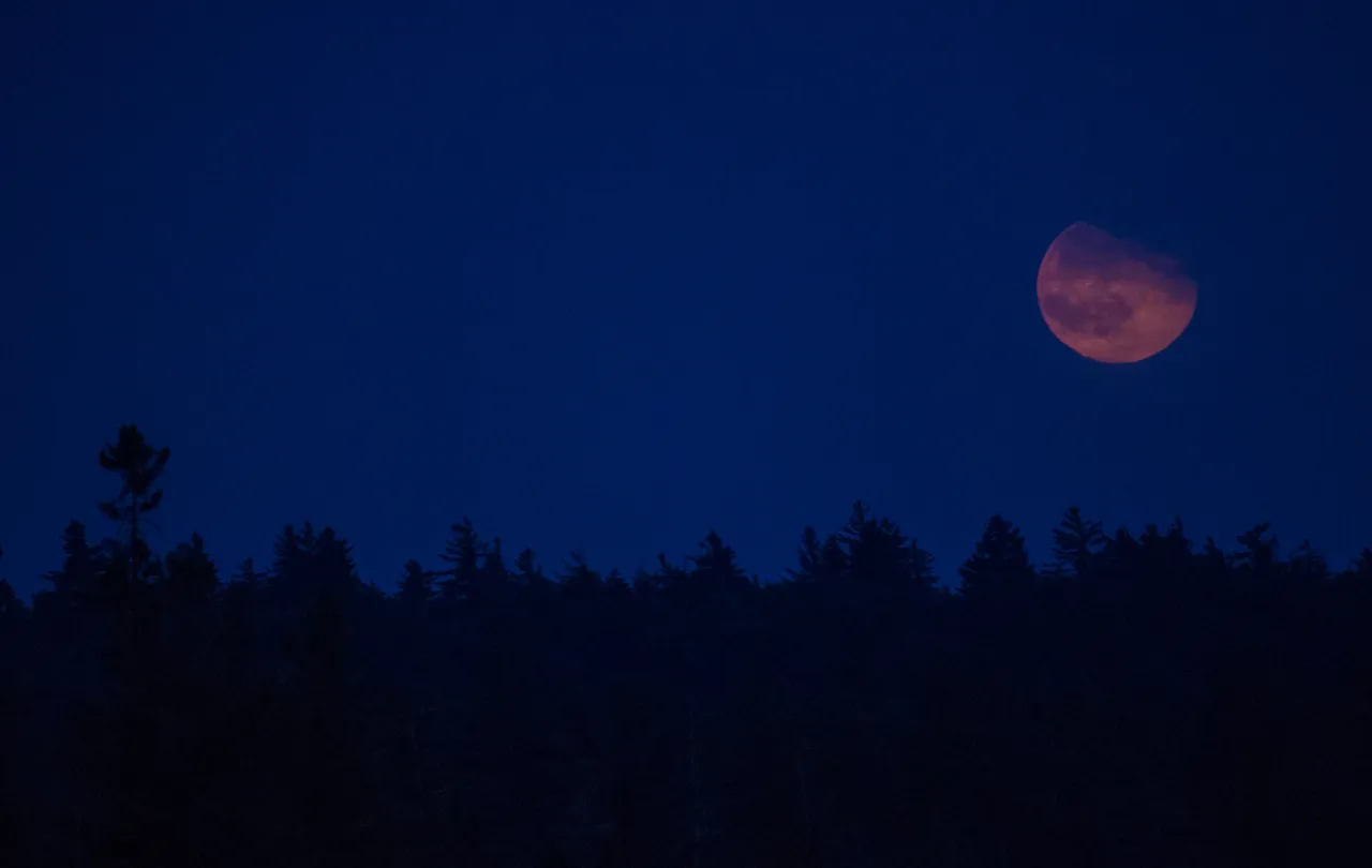 An orange-tinted moon hangs low over the silhouette of a forest treeline.