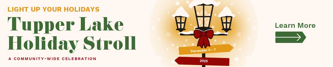 seasonal banner with light poll