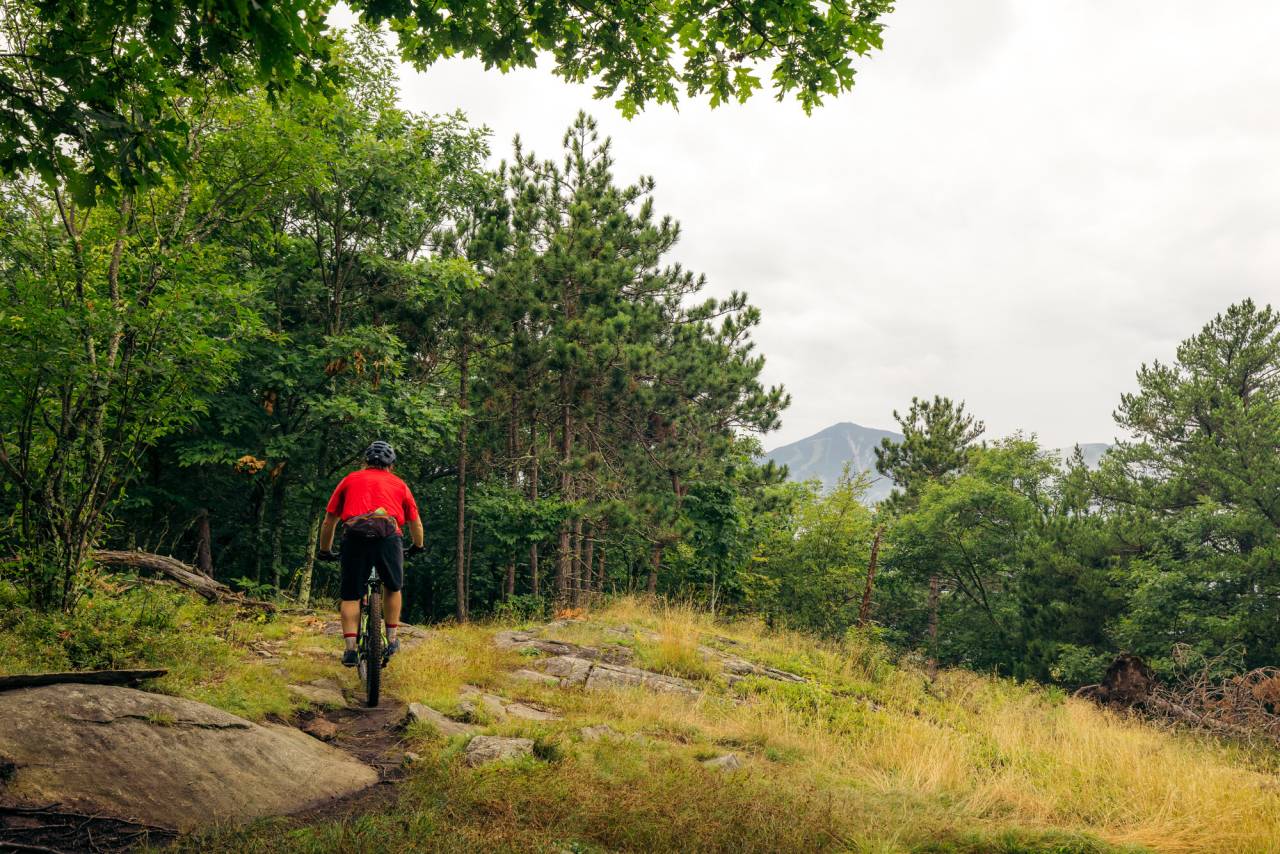 A mountain biker in Wilmington