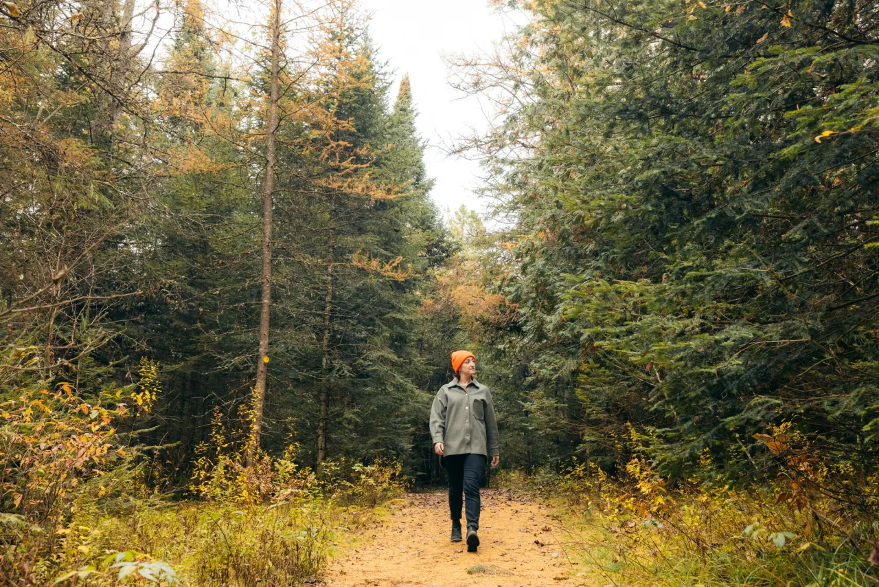 A woman hikes a flat trail in a coniferous forest. She is wearing a blaze orange hat for hunting season safety.