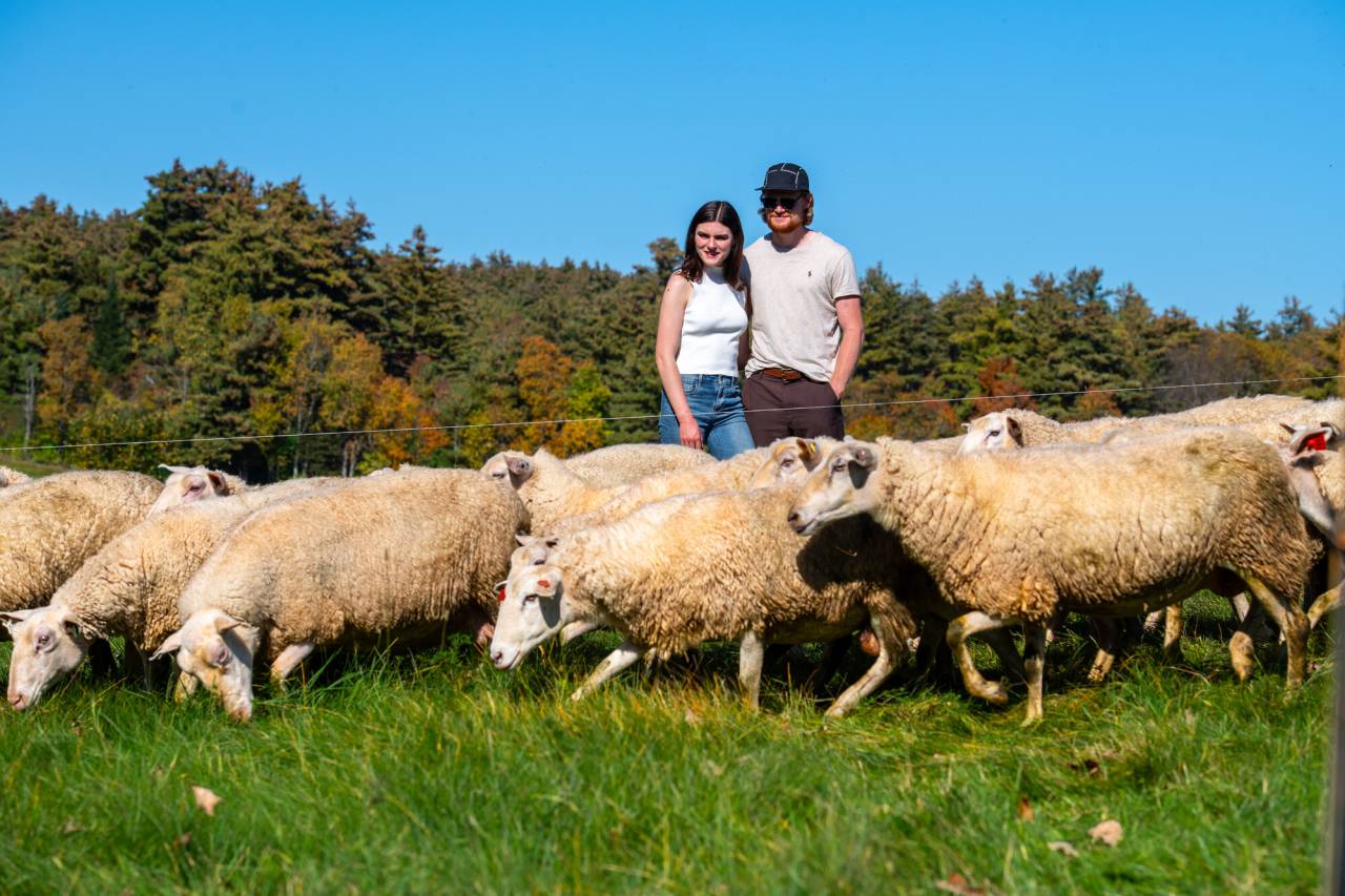 A man and woman stand among a herd of sheep. 