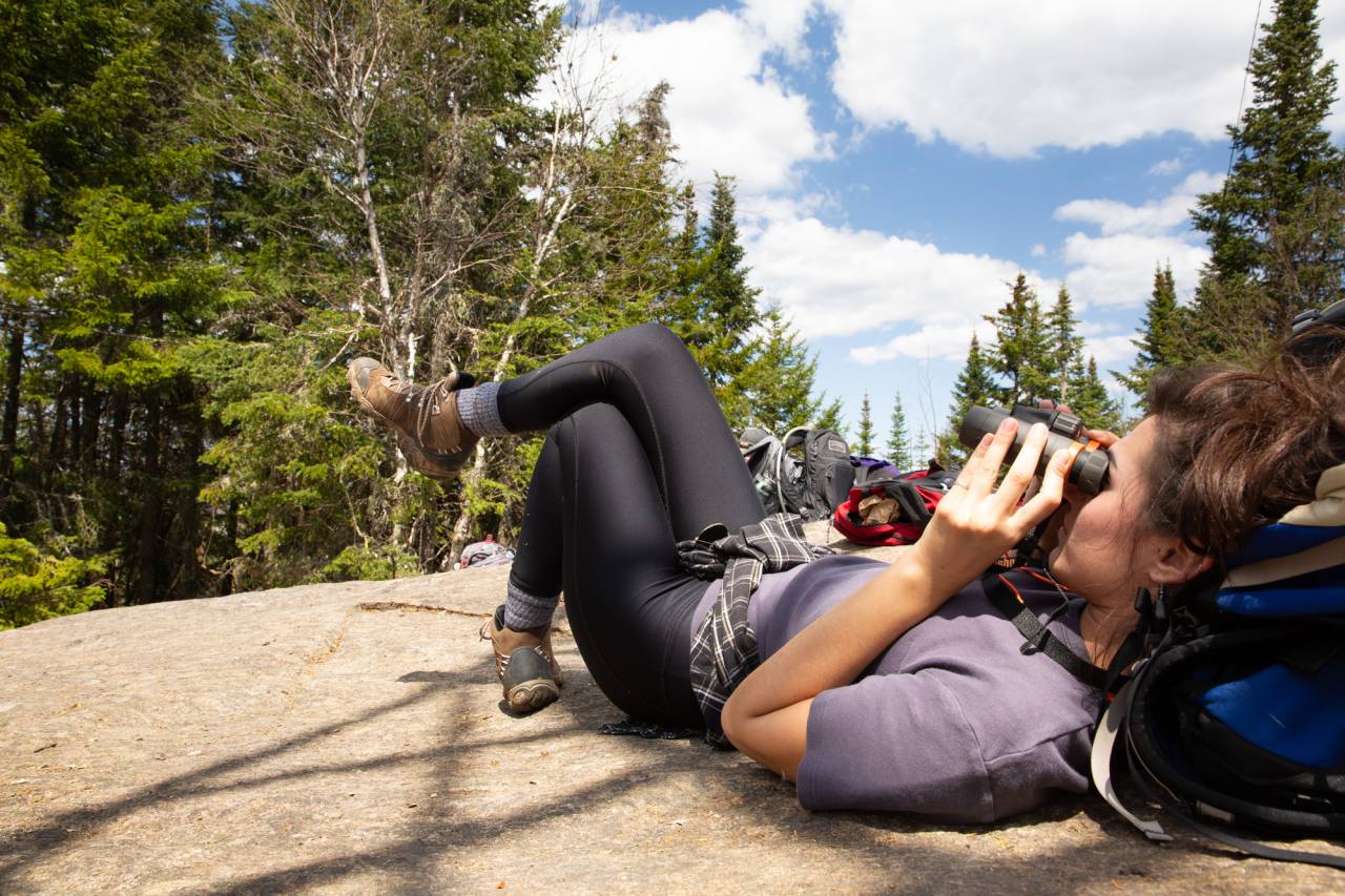 WFR-birding