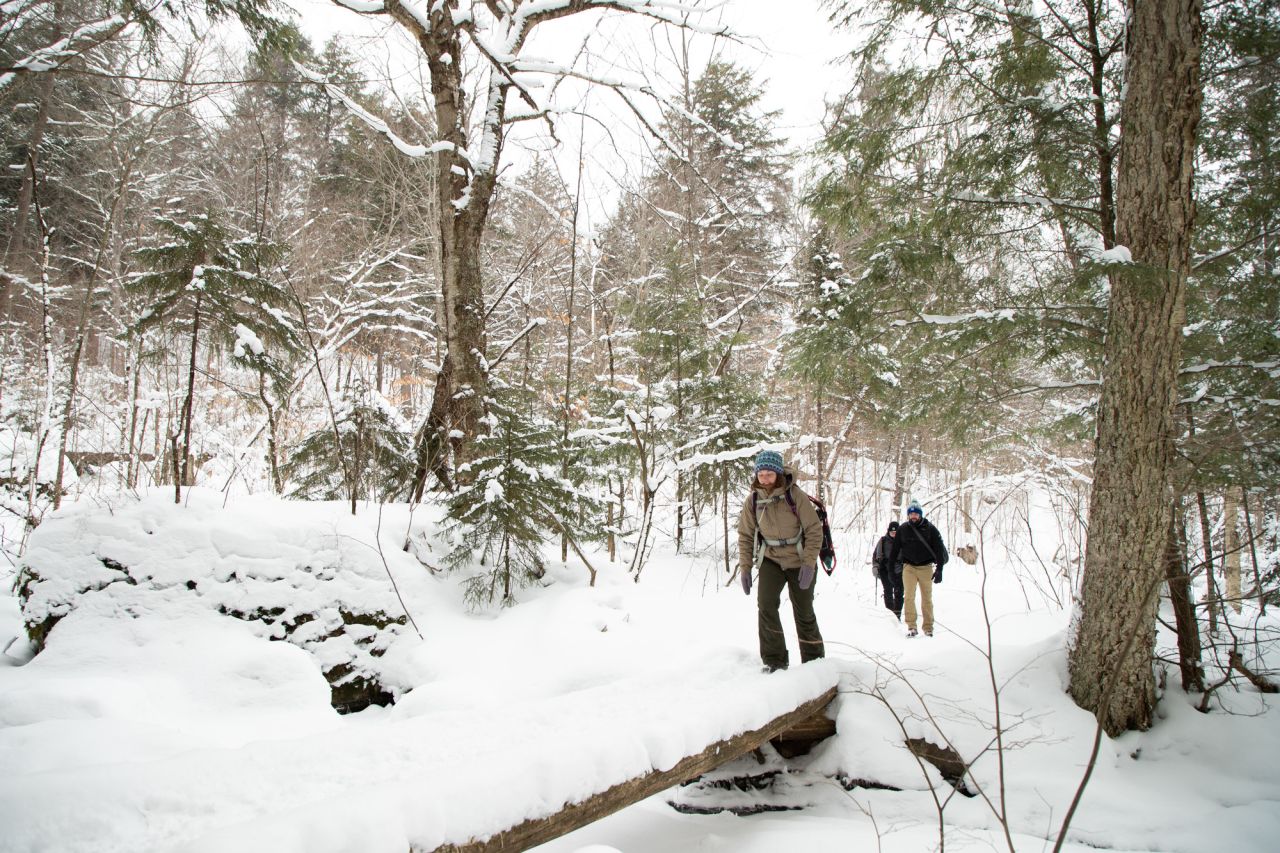 A hiking group in the winter