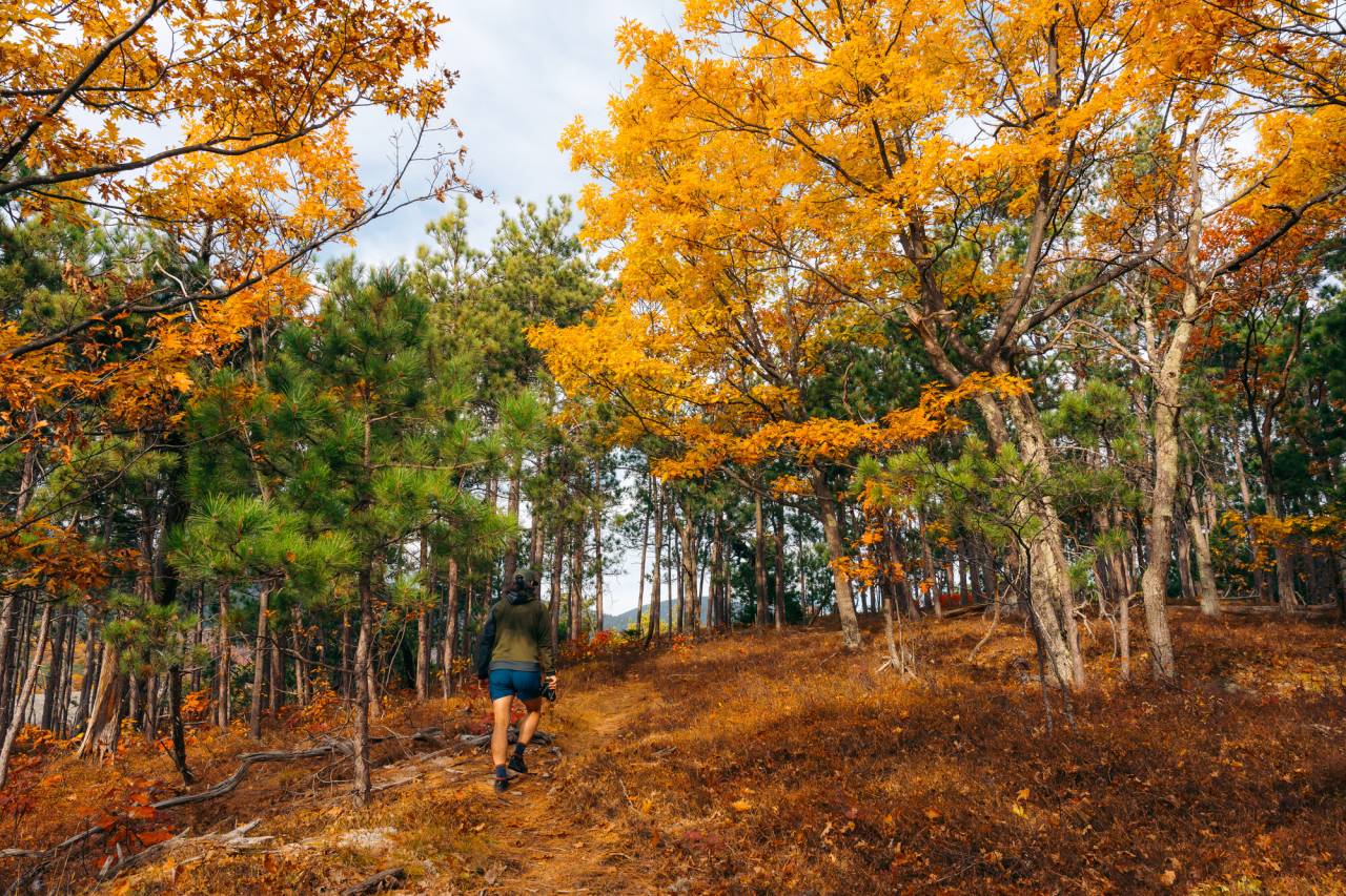 Fall on the Cobble