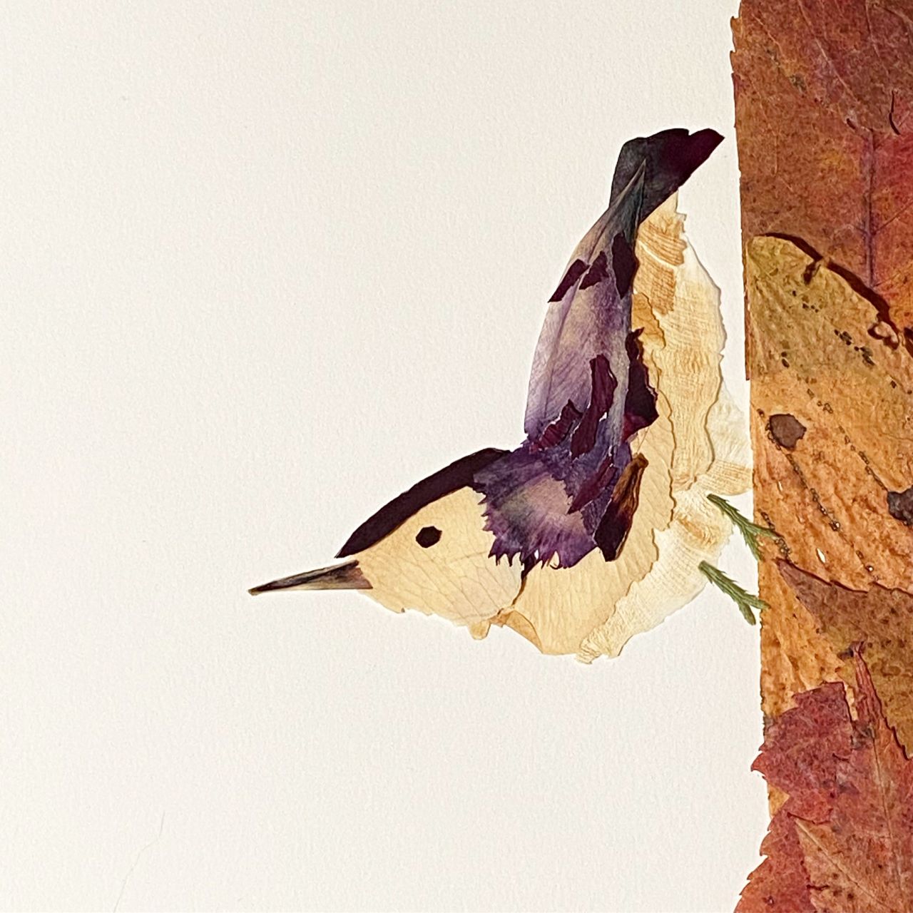 Wildly Pressed bird artwork.