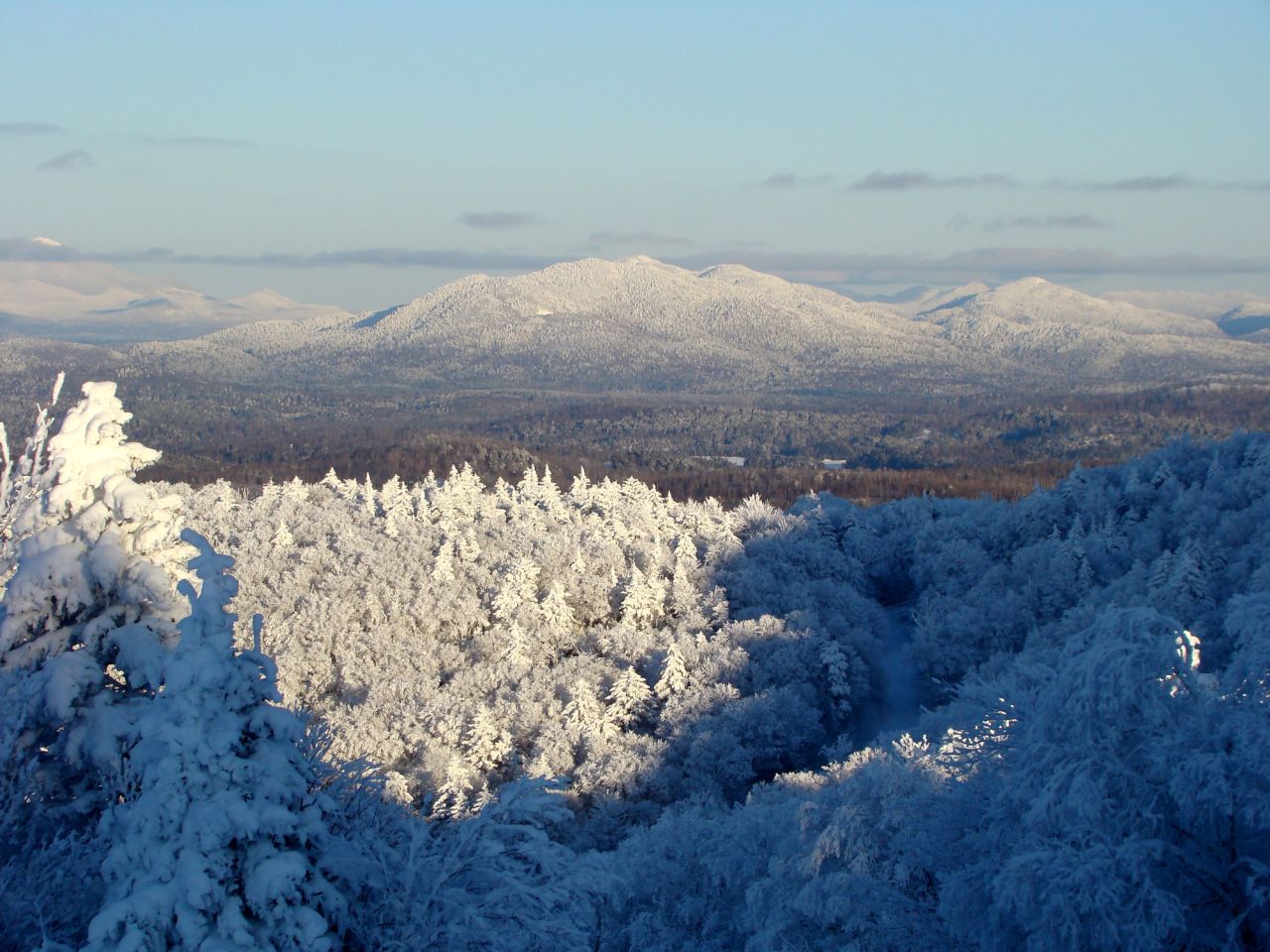 A mountain range and trees blanketed in snow. 
