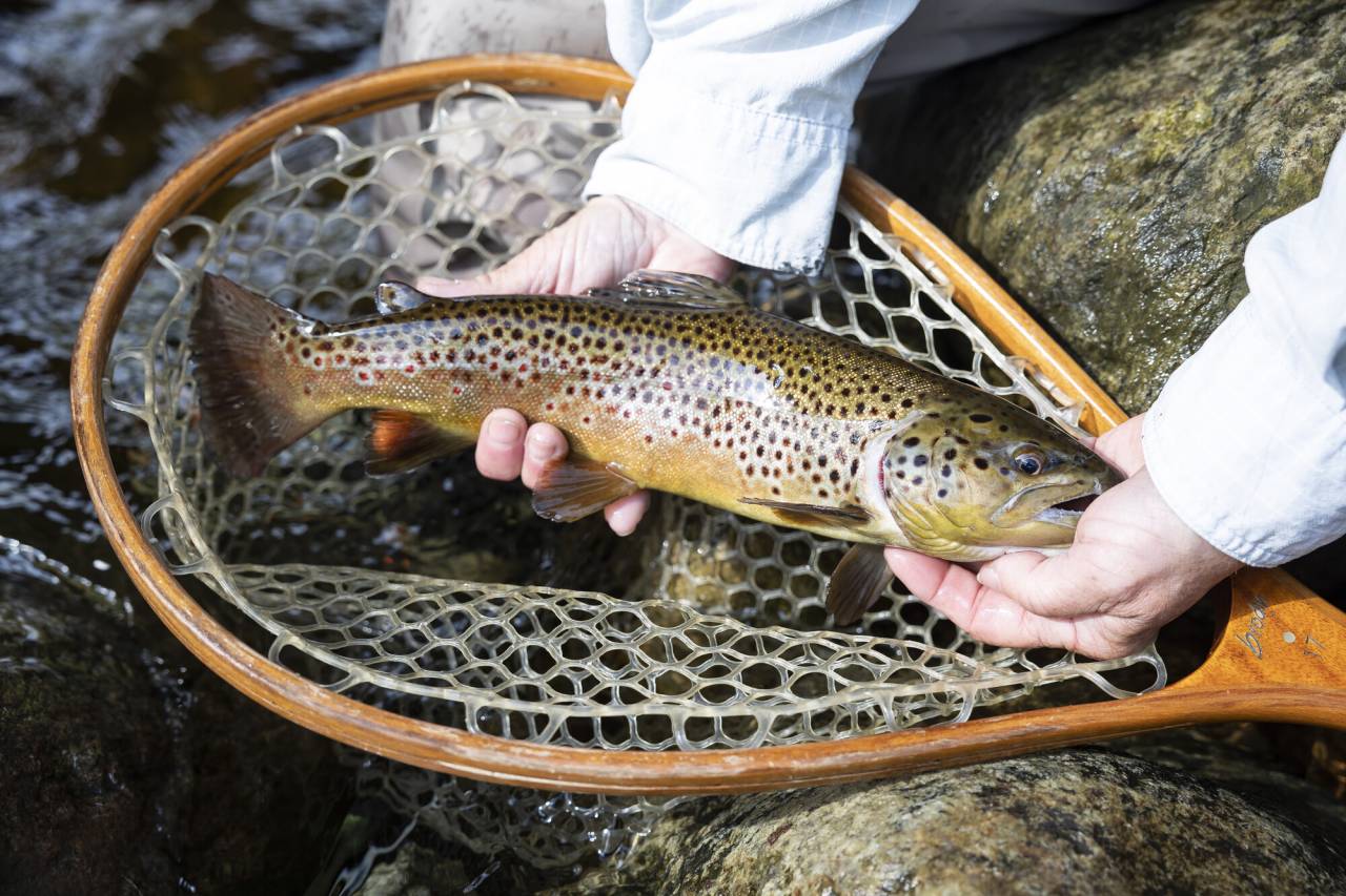 fly-fishing