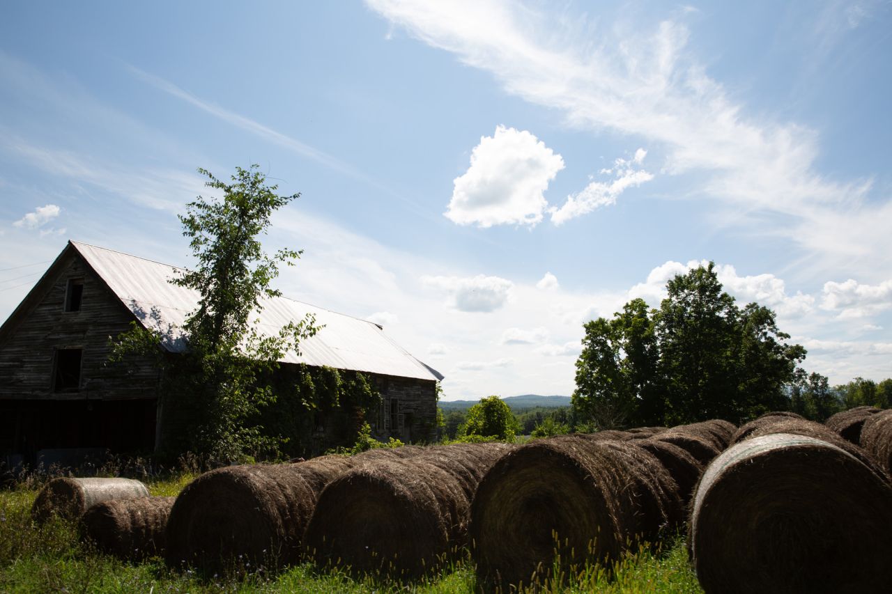A farm with hay bales rolled up in the field.