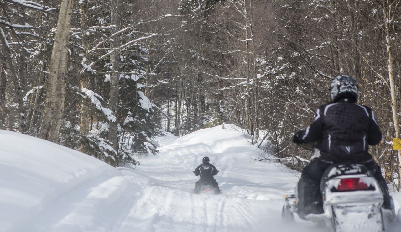 Two snowmobilers riding through the woods.