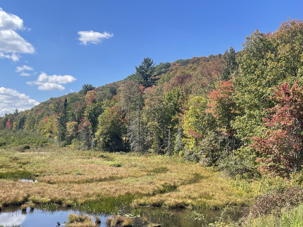 Fall foliage beginning.