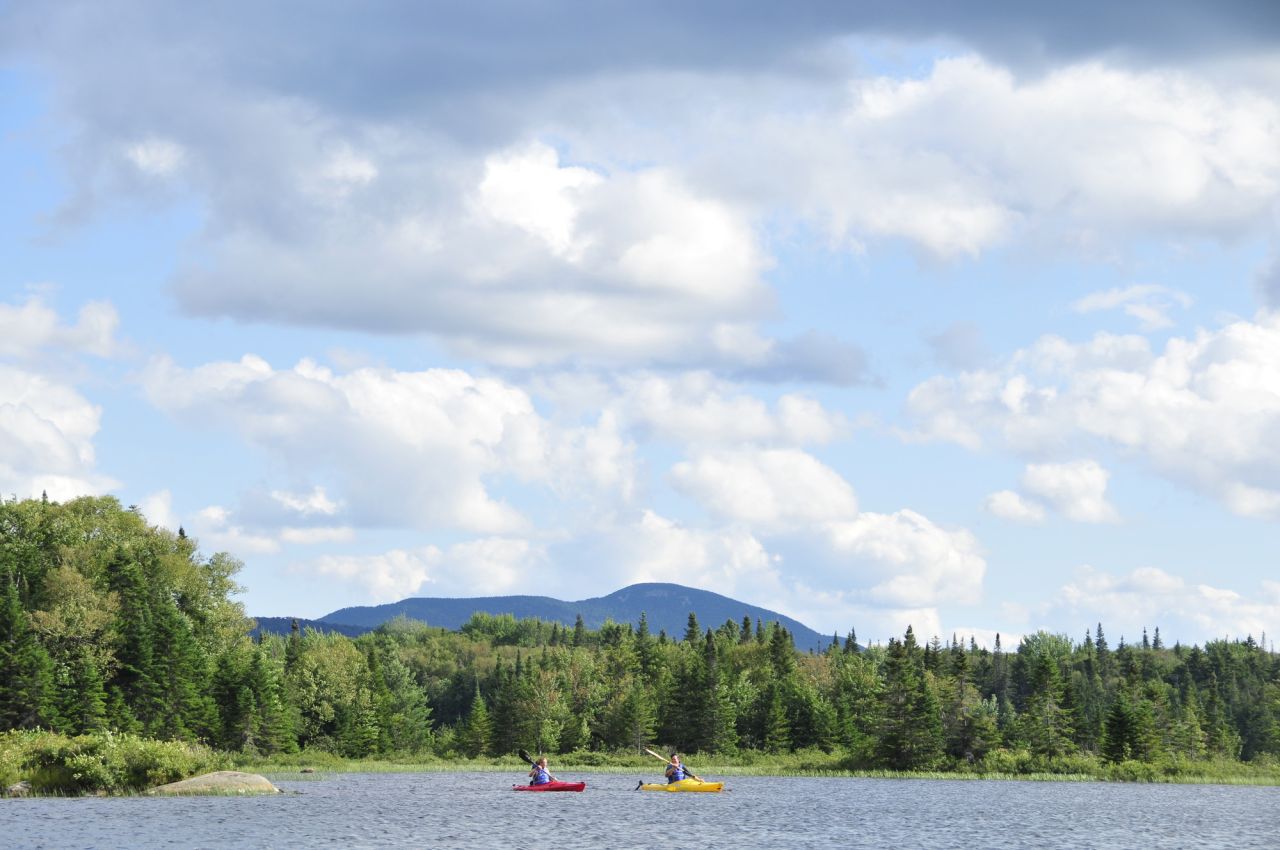 Two people paddle in the middle of a lake in summer. 