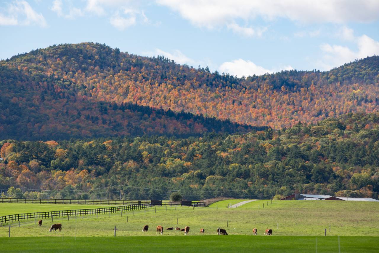 A Lake Champlain farm  in the fall.