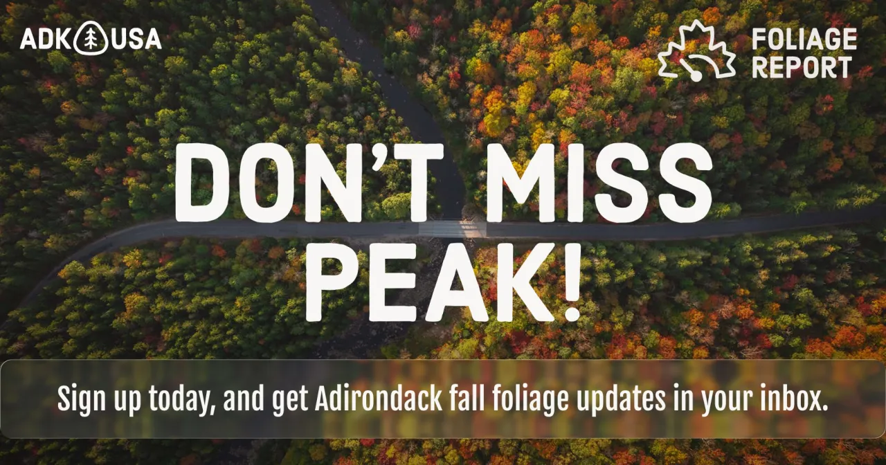 Foliage Report Sign Up