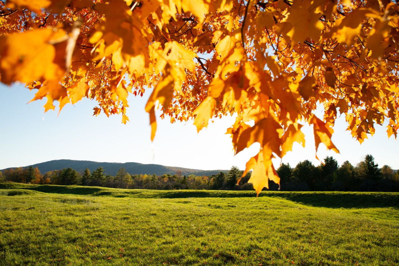 Fall foliage in Lake Placid.