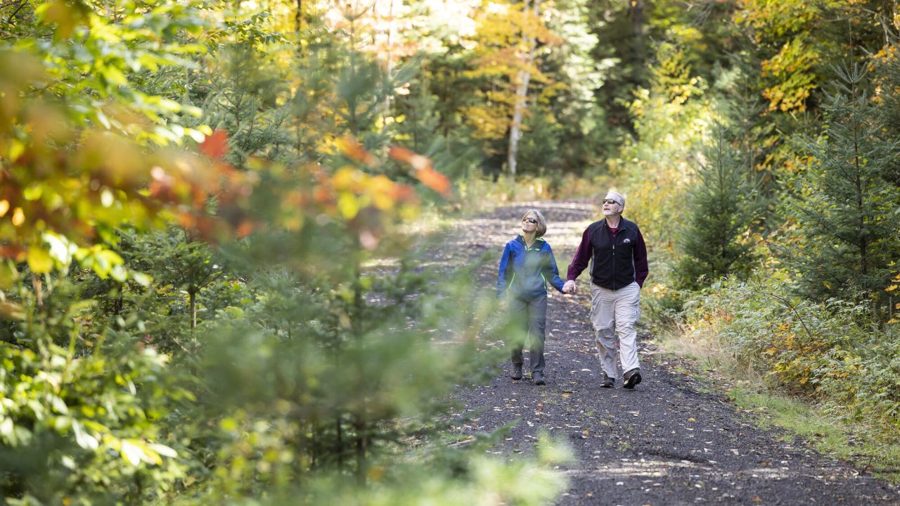 An older man and woman walk a nature trail in fall. 