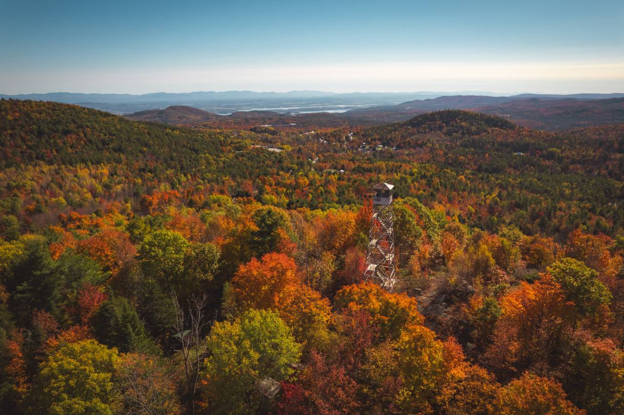 A fire tower amidst fall foliage. 
