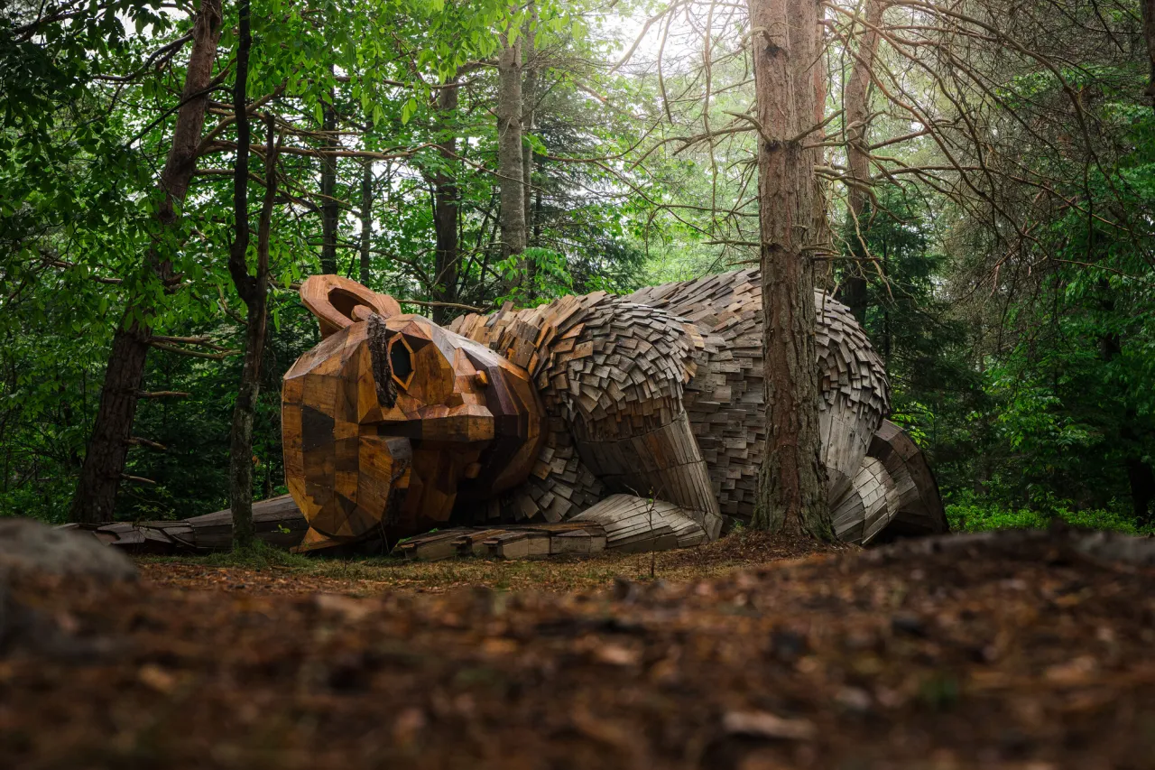 A troll laying in the grass at The Wild Center.