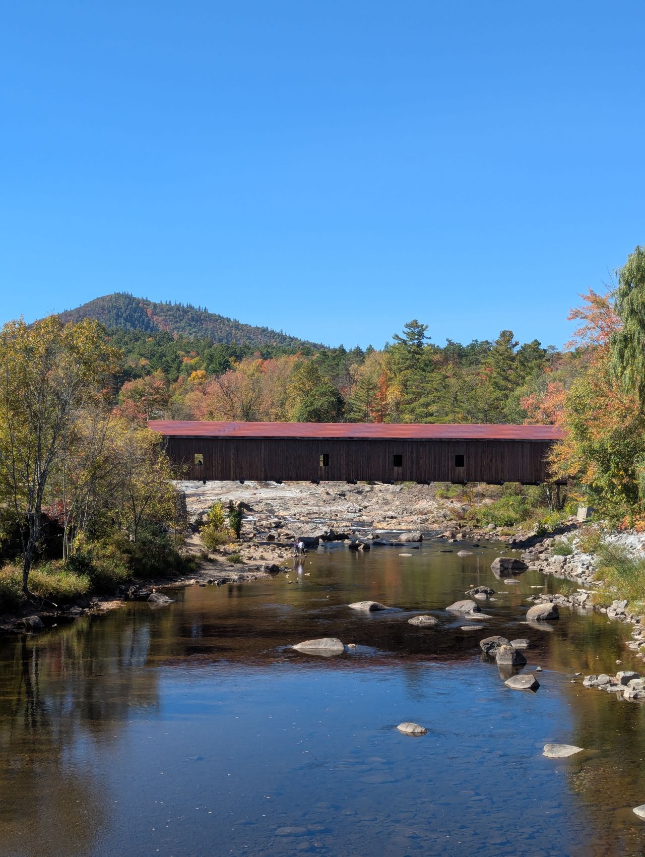 Fall foliage in the Whiteface Region.