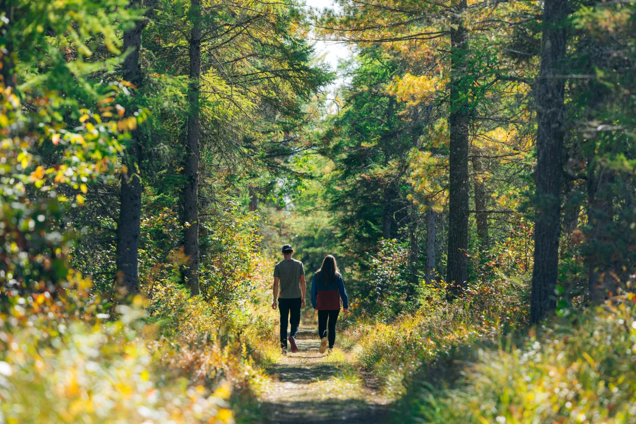 A man and woman walk on a nature trail in fall.