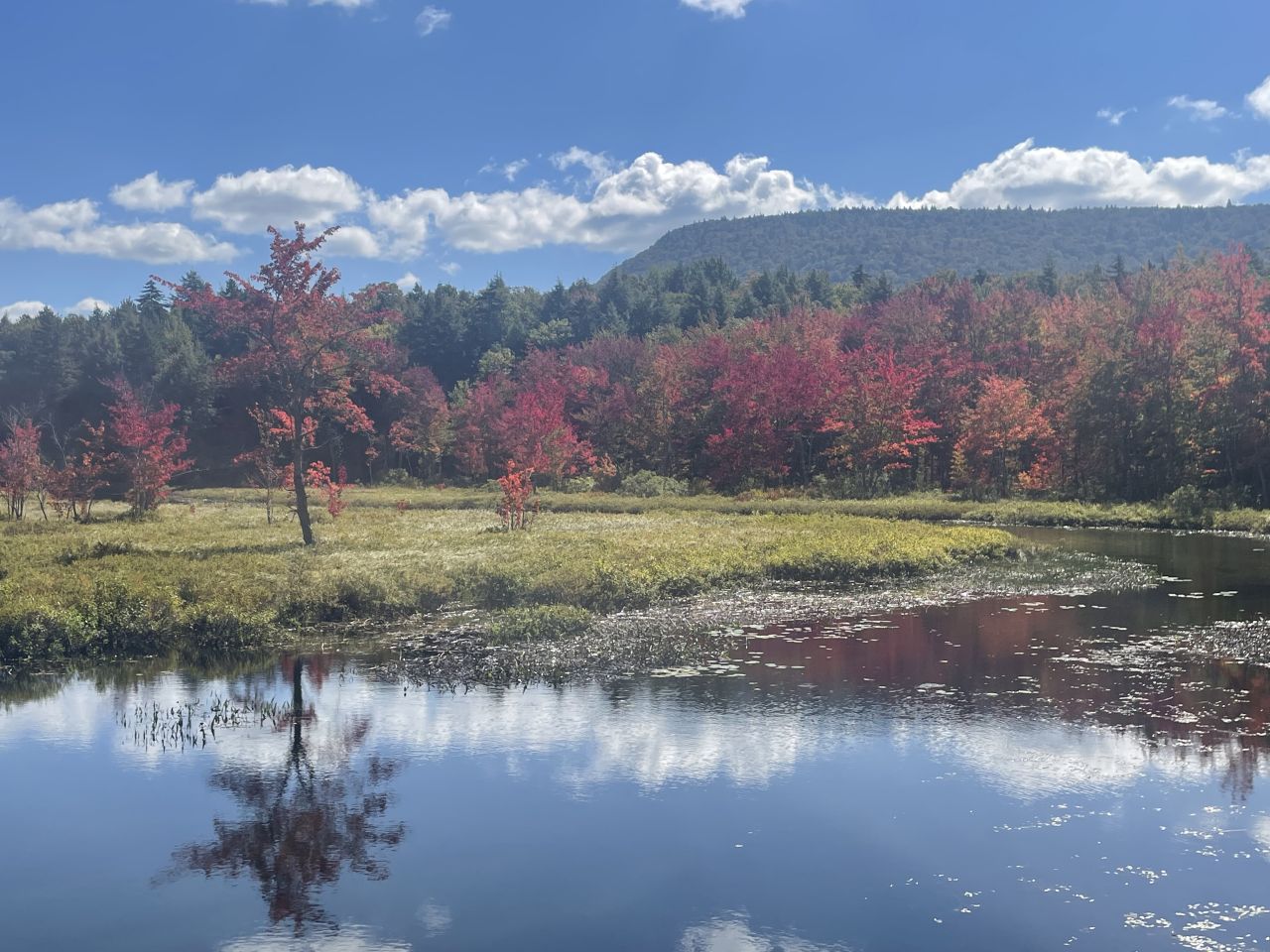 Fall foliage views.