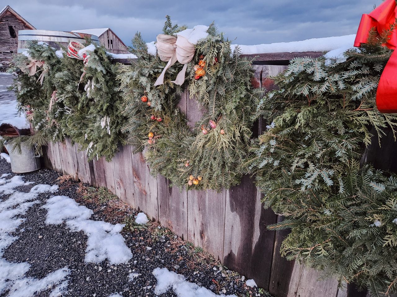 Decorated Christmas wreaths hang on a rustic wood fence.