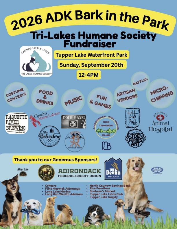 Event flyer and sponsors