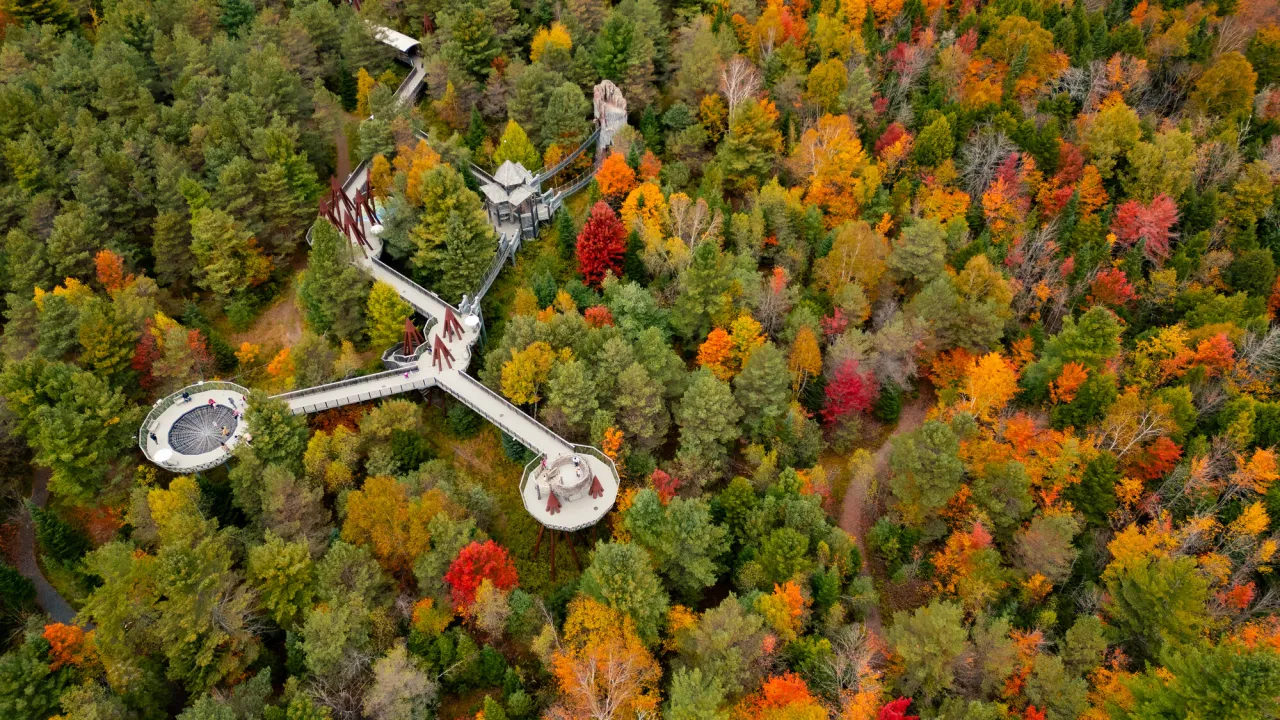 The Wild Center in the fall.