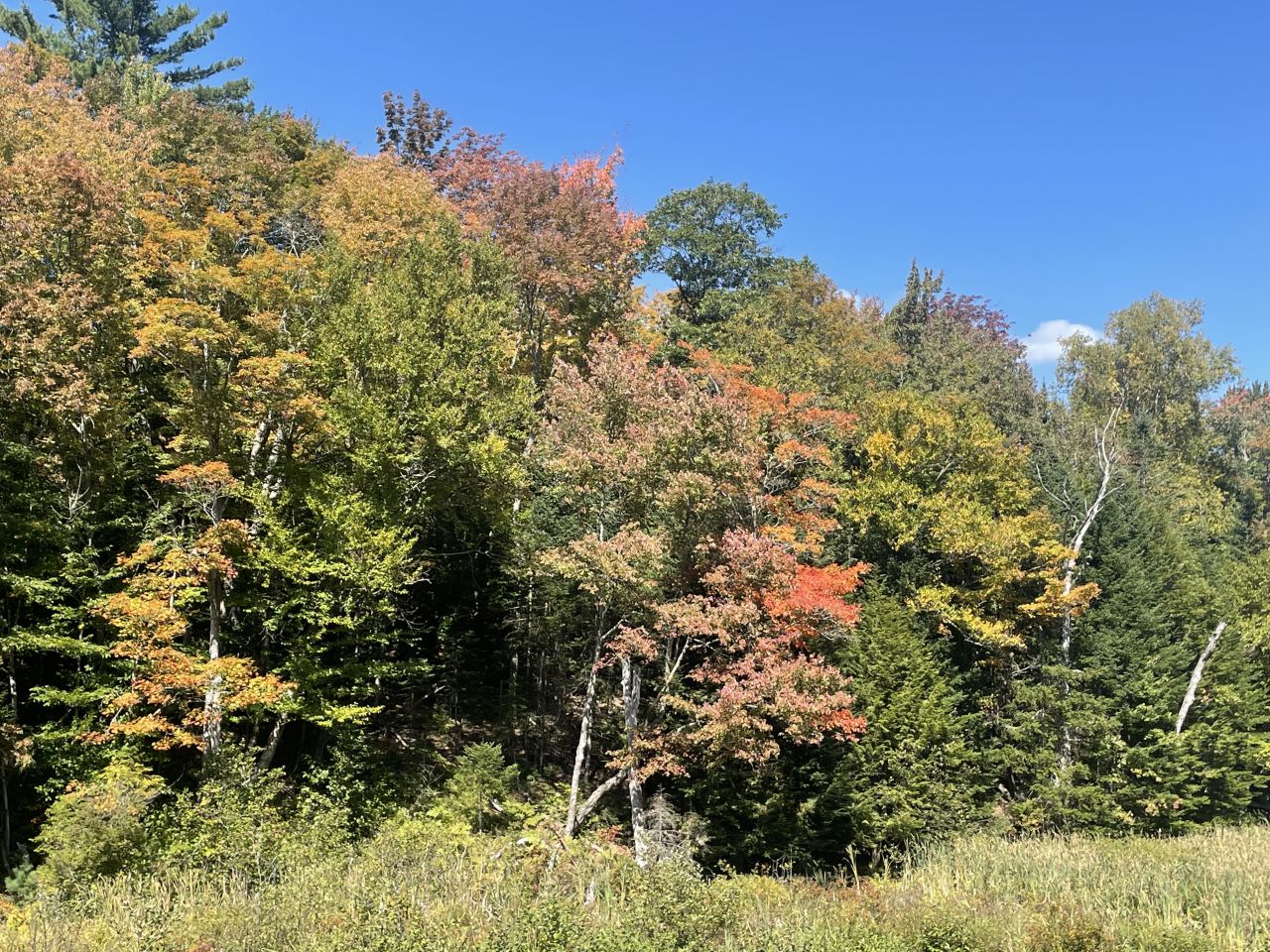 Fall foliage views in the Lake Champlain Region.