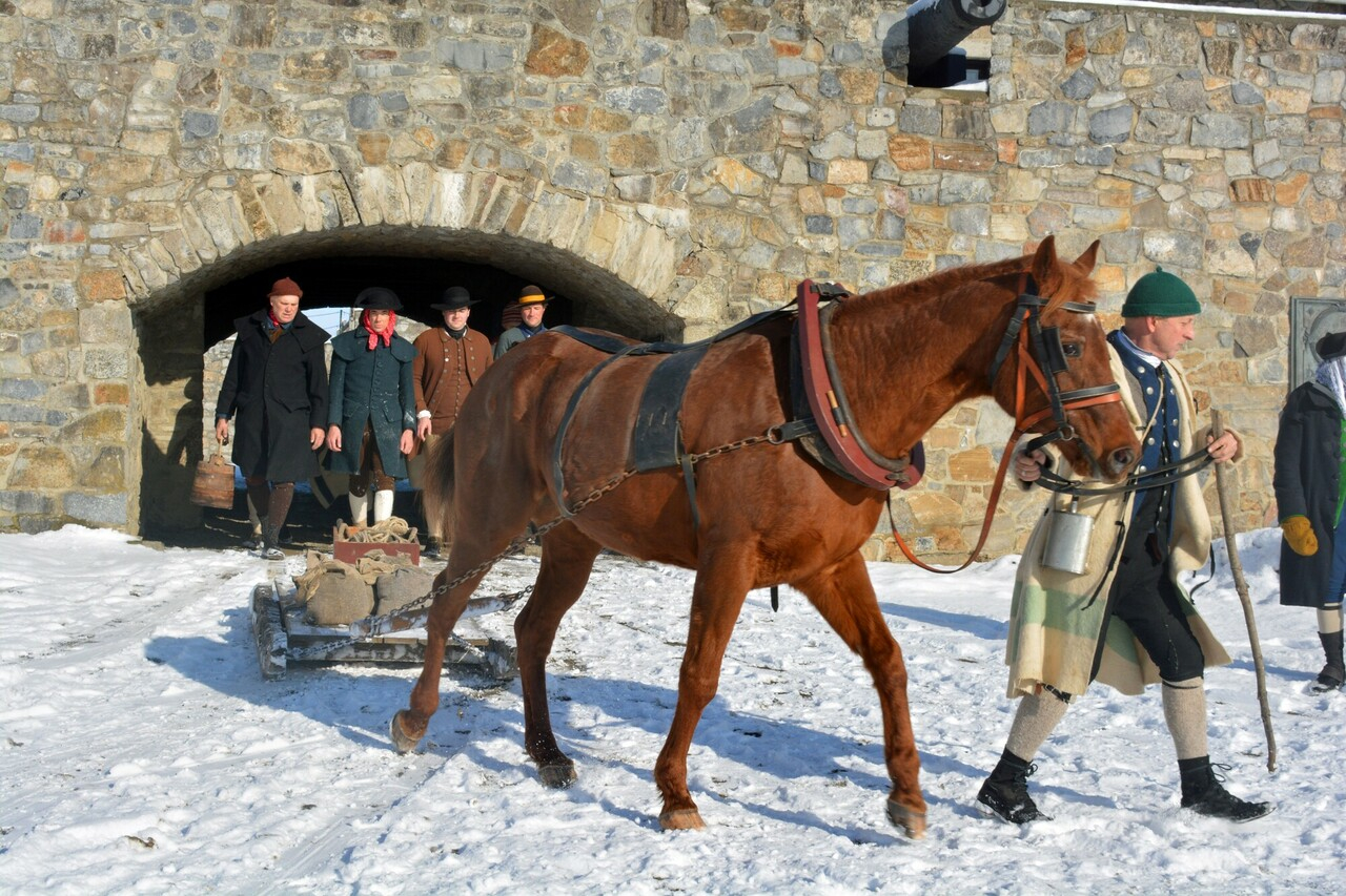 actors dressed in revolutionary war clothes lead a horse pulling a sled through a fort.