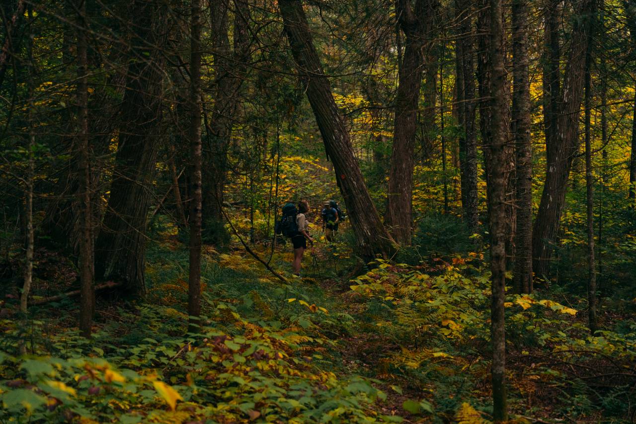 hiker-forest