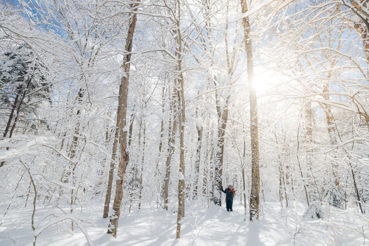 A snowy winter snowshoe.