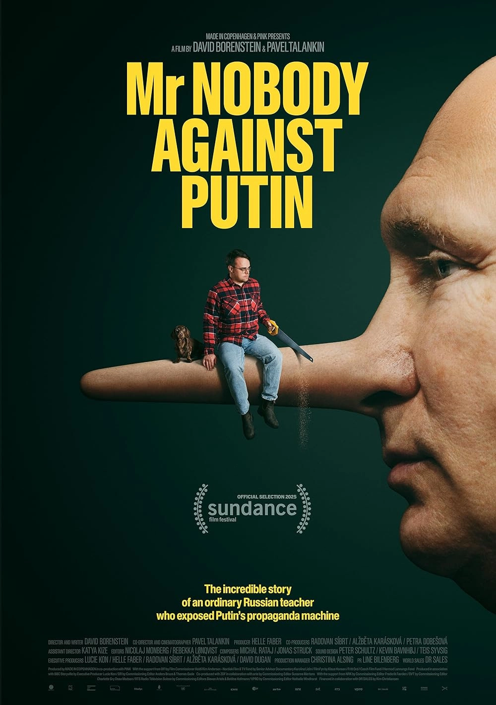 Movie poster for Mr Nobody Against Putin