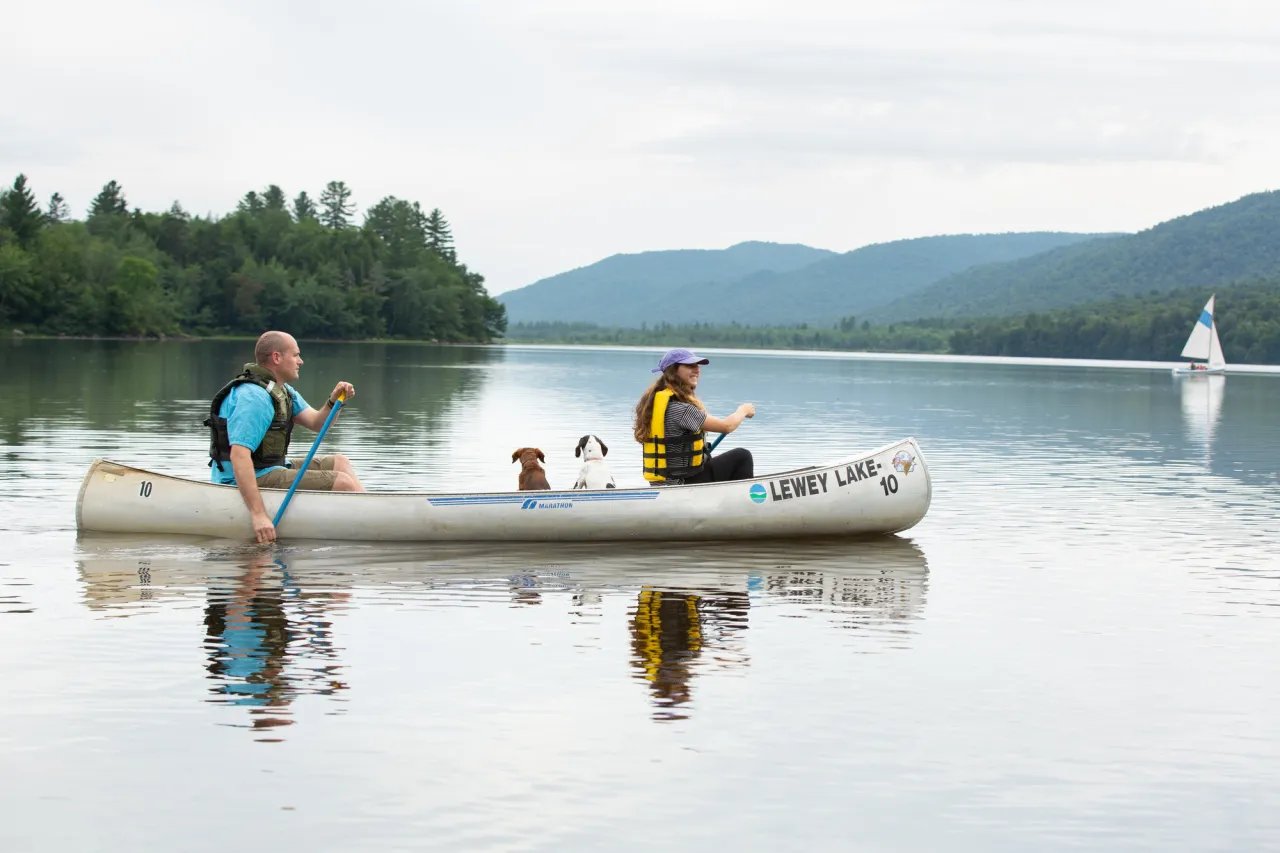 A family paddling a canoe with two dogs.