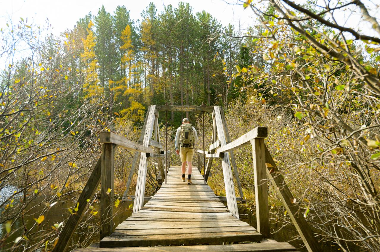 A man walks on a bridge through a fall marsh. 