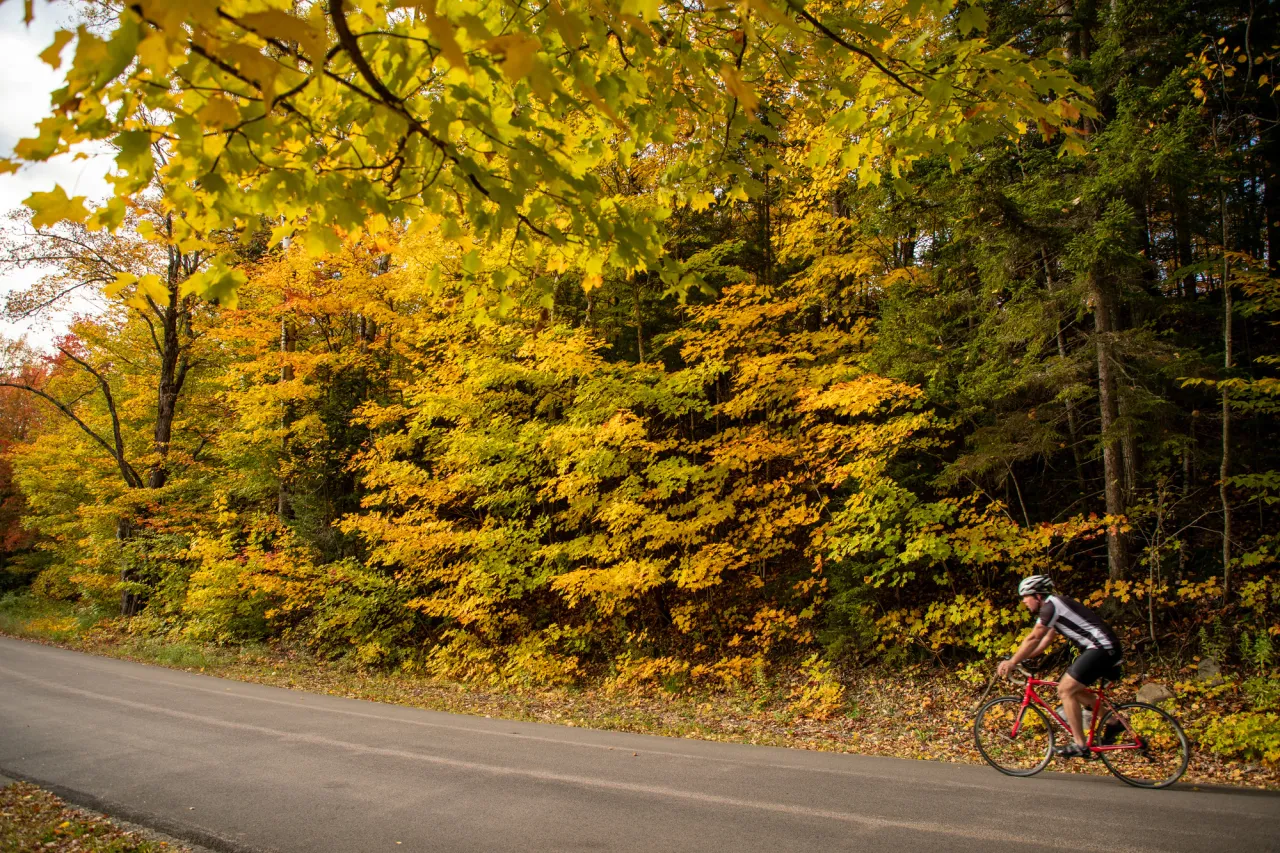 Biking in the fall.