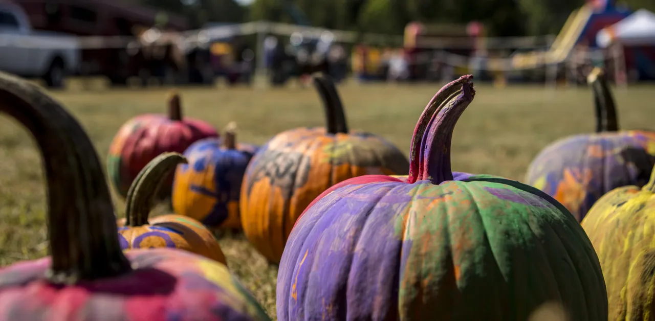 Multi-colored painted pumpkins at a fall event in the Adirondacks.