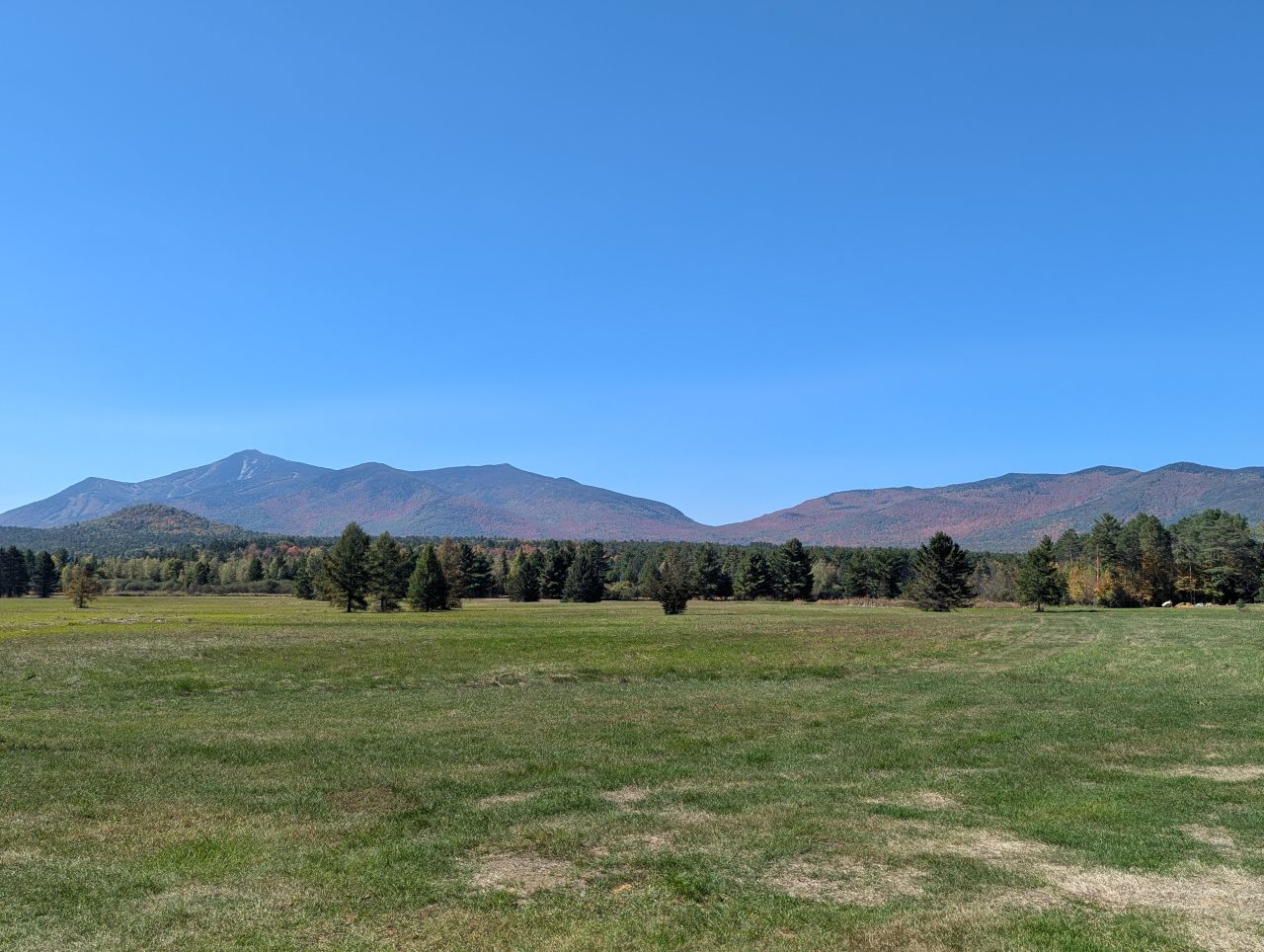Mountain and foliage views in the Whiteface Region.