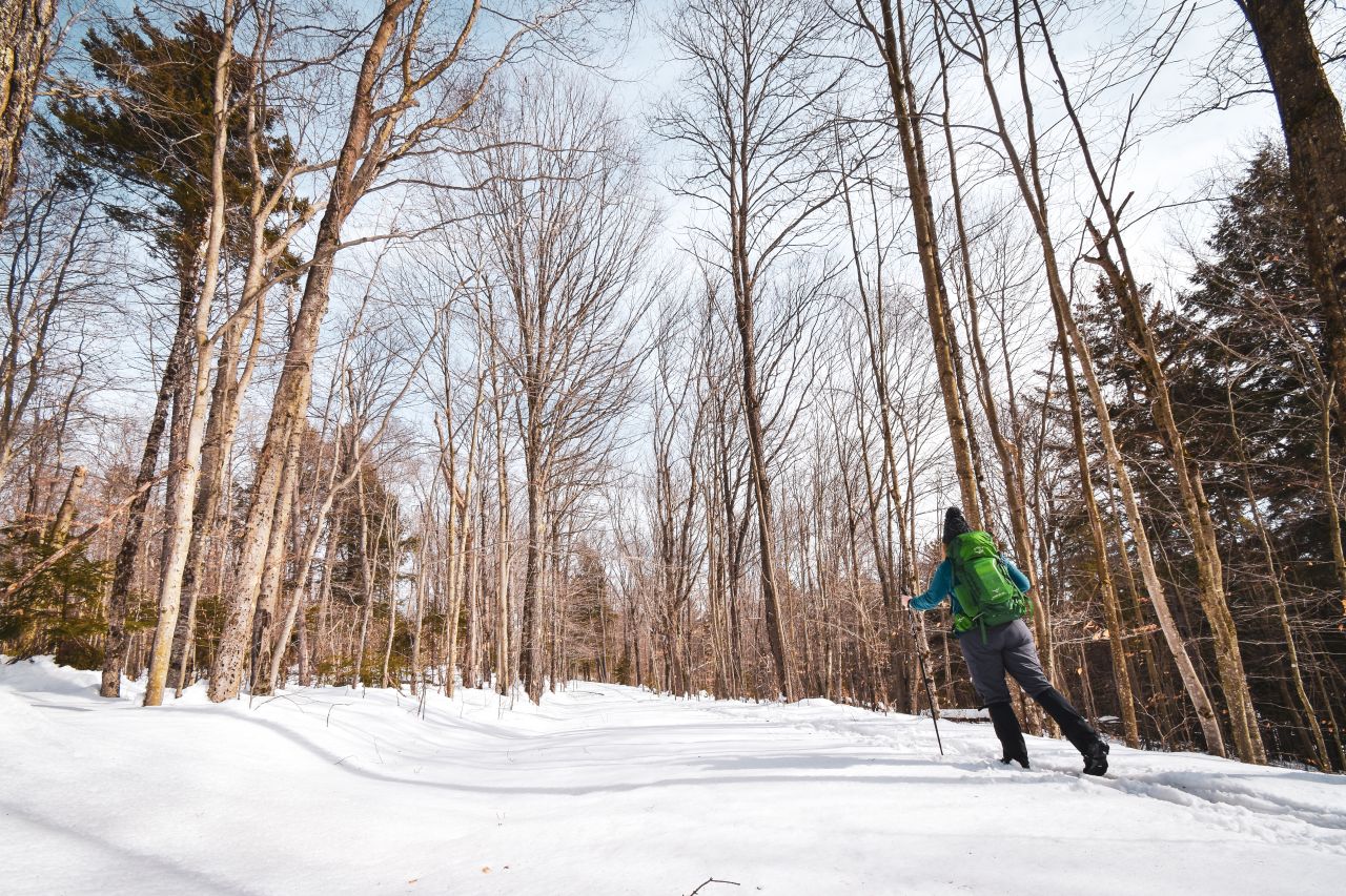 A women xc skiing in the woods