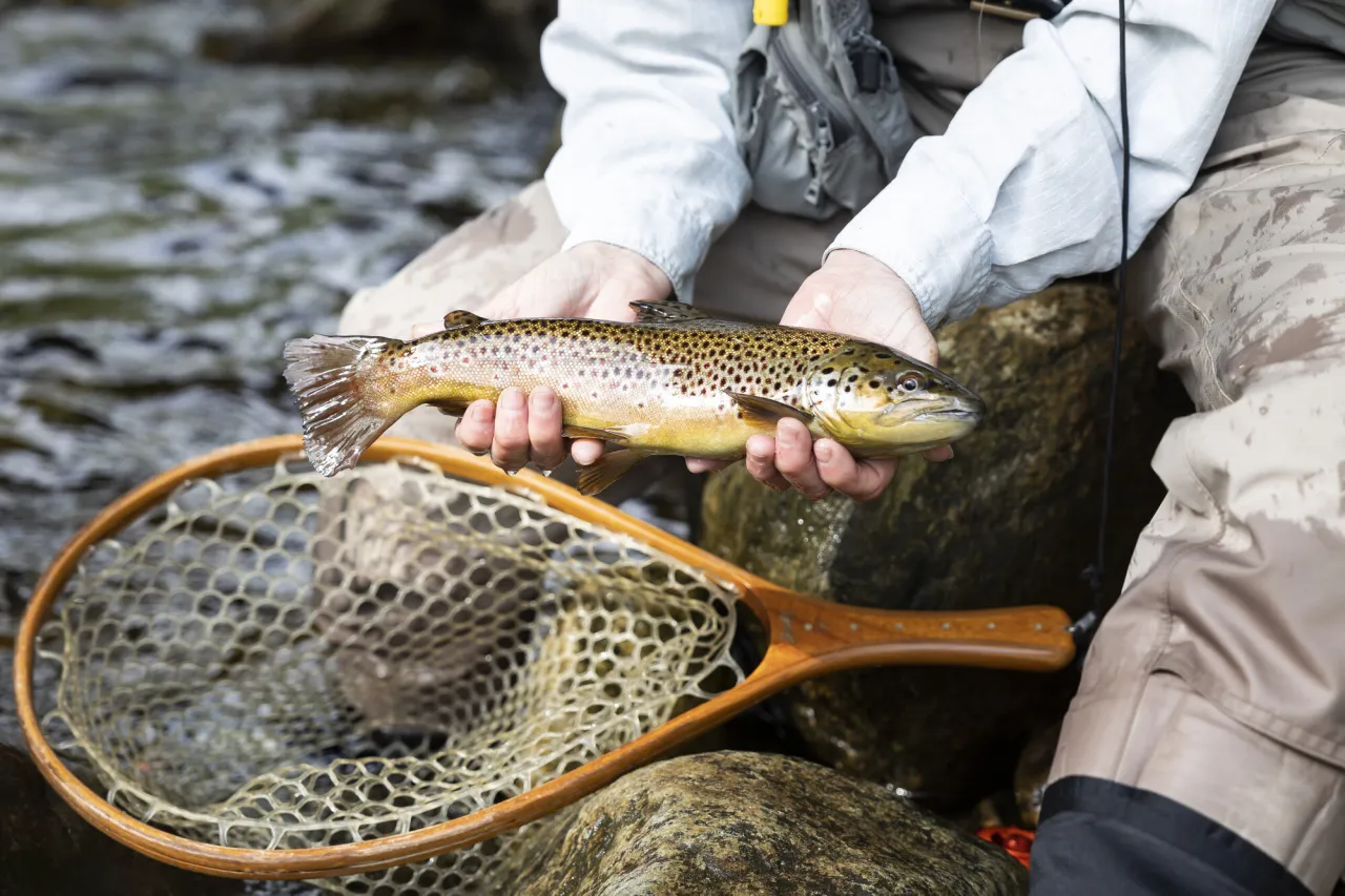 Fly fishing in the Adirondacks.
